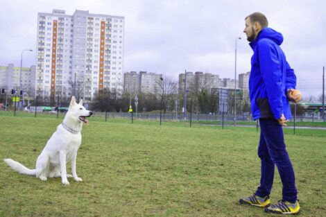 Armii Krajowej - wybieg dla psów  Foto: Krzysztof Kaczanowski /ZZM