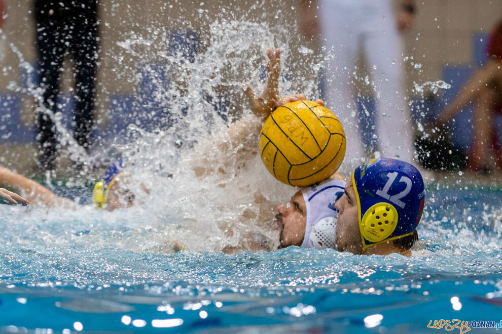 Box Logistics Waterpolo Poznań - UKS Neptun Uniwersytet Łódzk  Foto: lepszyPOZNAN.pl/Piotr Rychter