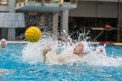 Box Logistics Waterpolo Poznań - UKS Neptun Uniwersytet Łódzk  Foto: lepszyPOZNAN.pl/Piotr Rychter