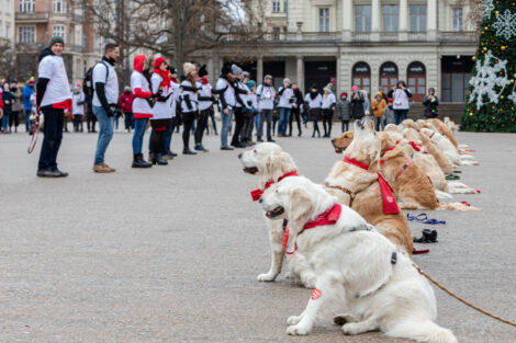 30. finał WOŚP- Goldeny  Foto: lepszyPOZNAN.pl/Piotr Rychter