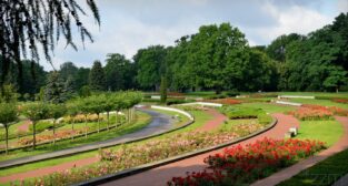 Cytadela 2020 [ZZM] (15)  Foto: 