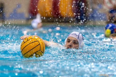 Box Logistics Waterpolo Poznań - UKS Neptun Uniwersytet Łódzk  Foto: lepszyPOZNAN.pl/Piotr Rychter