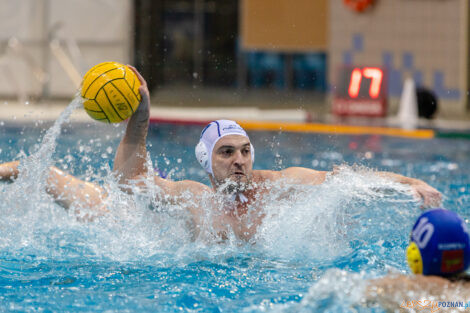 Box Logistics Waterpolo Poznań - UKS Neptun Uniwersytet Łódzk  Foto: lepszyPOZNAN.pl/Piotr Rychter