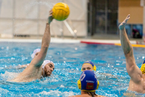 Box Logistics Waterpolo Poznań - UKS Neptun Uniwersytet Łódzk  Foto: lepszyPOZNAN.pl/Piotr Rychter