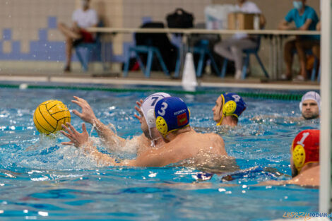 Box Logistics Waterpolo Poznań - UKS Neptun Uniwersytet Łódzk  Foto: lepszyPOZNAN.pl/Piotr Rychter