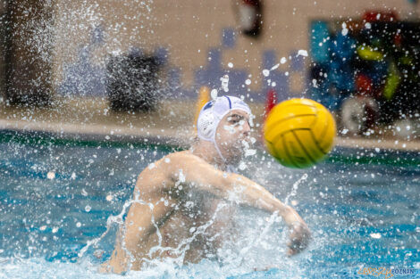 Box Logistics Waterpolo Poznań - UKS Neptun Uniwersytet Łódzk  Foto: lepszyPOZNAN.pl/Piotr Rychter