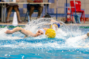 Box Logistics Waterpolo Poznań - UKS Neptun Uniwersytet Łódzk  Foto: lepszyPOZNAN.pl/Piotr Rychter