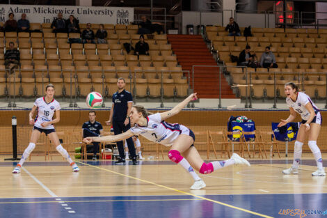 Enea Energatyk Poznań - GKS "Wieżycka 2011" Politechnika Gdań  Foto: lepszyPOZNAN.pl/Piotr Rychter