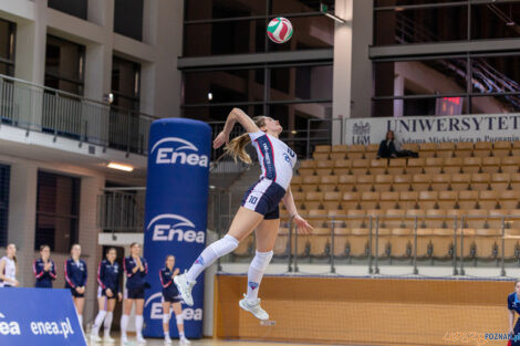 Enea Energetyk Poznań - Libero VIP Biesiadowo Aleksandrów Łó  Foto: lepszyPOZNAN.pl/Piotr Rychter