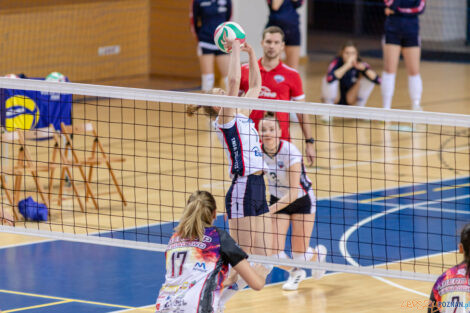 Enea Energetyk Poznań - Libero VIP Biesiadowo Aleksandrów Łó  Foto: lepszyPOZNAN.pl/Piotr Rychter