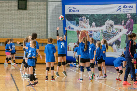 Enea Mini Cup  Foto: lepszyPOZNAN.pl/Piotr Rychter