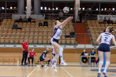 Enea Energetyk Poznań - Libero VIP Biesiadowo Aleksandrów Łó  Foto: lepszyPOZNAN.pl/Piotr Rychter