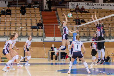 Enea Energetyk Poznań - Libero VIP Biesiadowo Aleksandrów Łó  Foto: lepszyPOZNAN.pl/Piotr Rychter