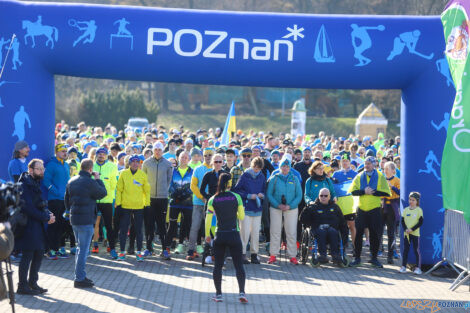 Solidarni z Ukrainą  Foto: materiały prasowe