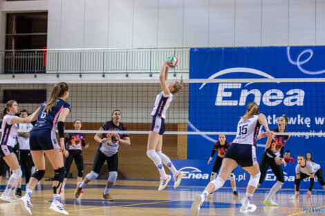 Enea Energetyk Poznań - Libero VIP Biesiadowo Aleksandrów Łó  Foto: lepszyPOZNAN.pl/Piotr Rychter