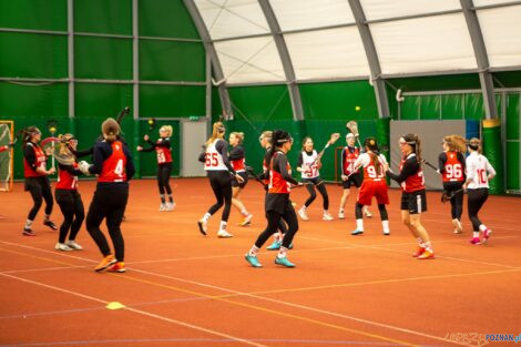 Lacrosse  Foto: Marcin Skoczylas