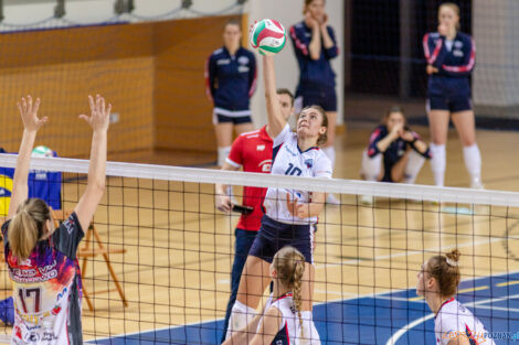 Enea Energetyk Poznań - Libero VIP Biesiadowo Aleksandrów Łó  Foto: lepszyPOZNAN.pl/Piotr Rychter