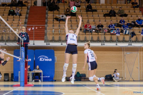 Enea Energetyk Poznań - Libero VIP Biesiadowo Aleksandrów Łó  Foto: lepszyPOZNAN.pl/Piotr Rychter