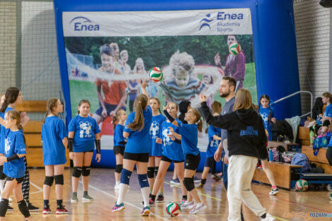 Enea Mini Cup  Foto: lepszyPOZNAN.pl/Piotr Rychter