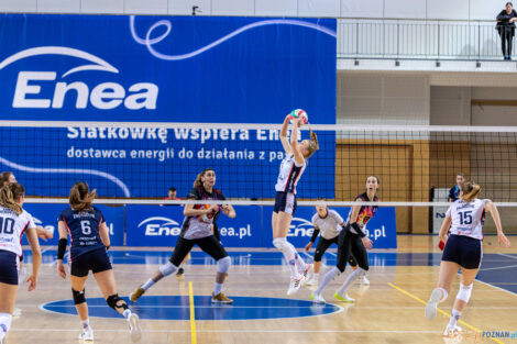 Enea Energetyk Poznań - Libero VIP Biesiadowo Aleksandrów Łó  Foto: lepszyPOZNAN.pl/Piotr Rychter