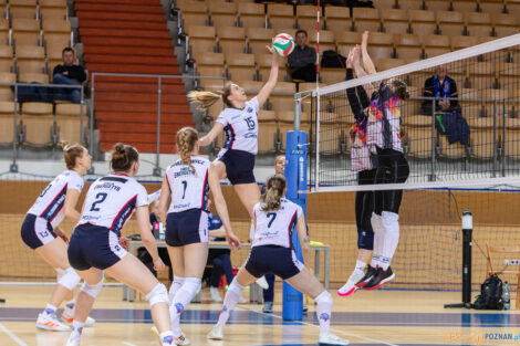 Enea Energetyk Poznań - Libero VIP Biesiadowo Aleksandrów Łó  Foto: lepszyPOZNAN.pl/Piotr Rychter