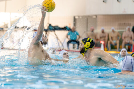 Box Logistics Waterpolo Poznań -  ŁSTW OCMER Politechnika Łó  Foto: lepszyPOZNAN.pl/Piotr Rychter