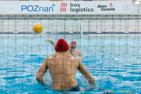 Box Logistics Waterpolo Poznań -  ŁSTW OCMER Politechnika Łó  Foto: lepszyPOZNAN.pl/Piotr Rychter