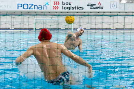 Box Logistics Waterpolo Poznań -  ŁSTW OCMER Politechnika Łó  Foto: lepszyPOZNAN.pl/Piotr Rychter