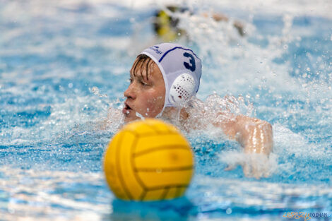 Box Logistics Waterpolo Poznań -  ŁSTW OCMER Politechnika Łó  Foto: lepszyPOZNAN.pl/Piotr Rychter