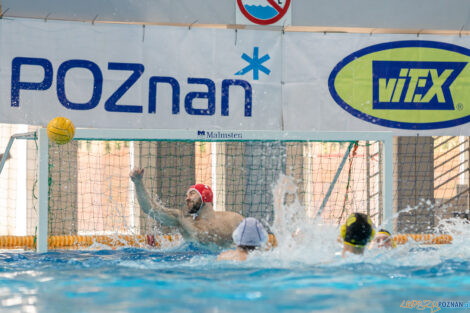 Box Logistics Waterpolo Poznań -  ŁSTW OCMER Politechnika Łó  Foto: lepszyPOZNAN.pl/Piotr Rychter