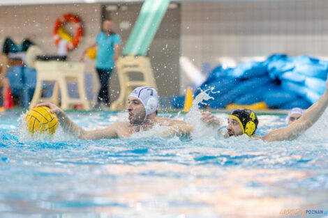 Box Logistics Waterpolo Poznań -  ŁSTW OCMER Politechnika Łó  Foto: lepszyPOZNAN.pl/Piotr Rychter