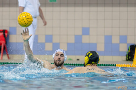 Box Logistics Waterpolo Poznań -  ŁSTW OCMER Politechnika Łó  Foto: lepszyPOZNAN.pl/Piotr Rychter