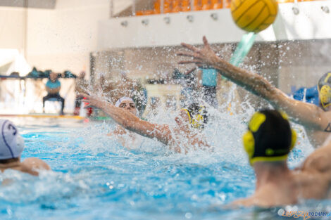 Box Logistics Waterpolo Poznań -  ŁSTW OCMER Politechnika Łó  Foto: lepszyPOZNAN.pl/Piotr Rychter