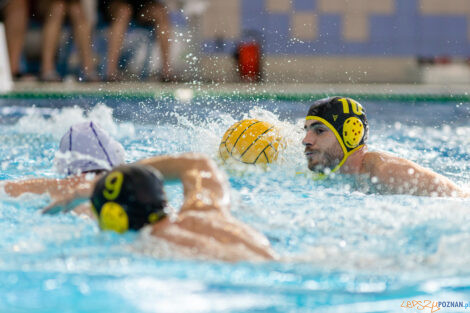 Box Logistics Waterpolo Poznań -  ŁSTW OCMER Politechnika Łó  Foto: lepszyPOZNAN.pl/Piotr Rychter