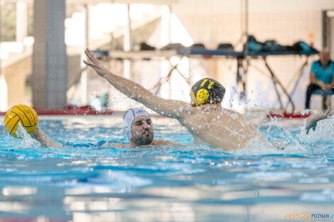 Box Logistics Waterpolo Poznań -  ŁSTW OCMER Politechnika Łó  Foto: lepszyPOZNAN.pl/Piotr Rychter