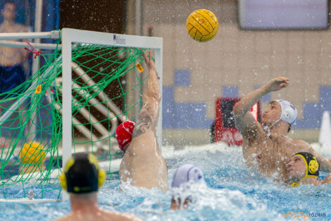 Box Logistics Waterpolo Poznań -  ŁSTW OCMER Politechnika Łó  Foto: lepszyPOZNAN.pl/Piotr Rychter