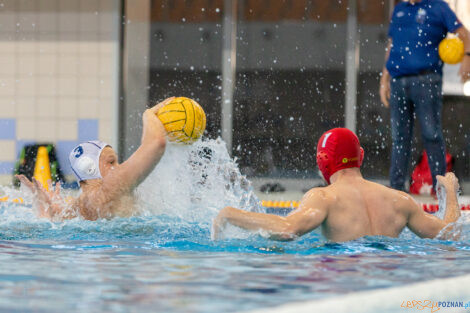 Box Logistics Waterpolo Poznań -  ŁSTW OCMER Politechnika Łó  Foto: lepszyPOZNAN.pl/Piotr Rychter