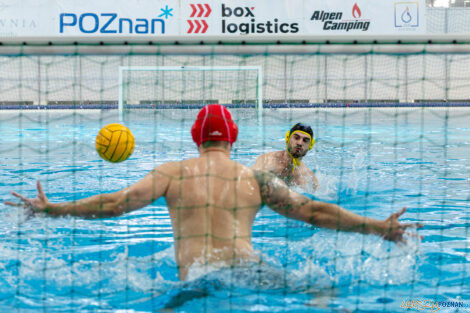 Box Logistics Waterpolo Poznań -  ŁSTW OCMER Politechnika Łó  Foto: lepszyPOZNAN.pl/Piotr Rychter