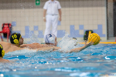 Box Logistics Waterpolo Poznań -  ŁSTW OCMER Politechnika Łó  Foto: lepszyPOZNAN.pl/Piotr Rychter