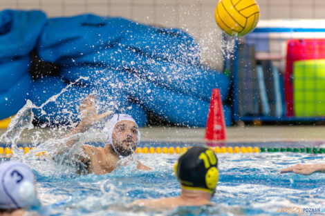 Box Logistics Waterpolo Poznań -  ŁSTW OCMER Politechnika Łó  Foto: lepszyPOZNAN.pl/Piotr Rychter