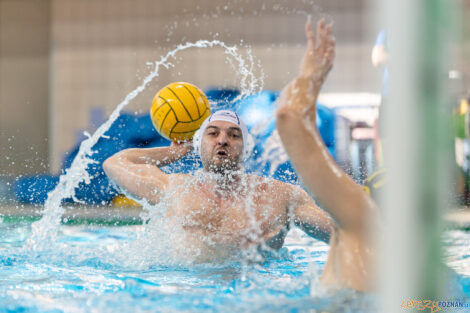 Box Logistics Waterpolo Poznań -  ŁSTW OCMER Politechnika Łó  Foto: lepszyPOZNAN.pl/Piotr Rychter