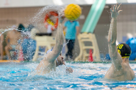 Box Logistics Waterpolo Poznań -  ŁSTW OCMER Politechnika Łó  Foto: lepszyPOZNAN.pl/Piotr Rychter