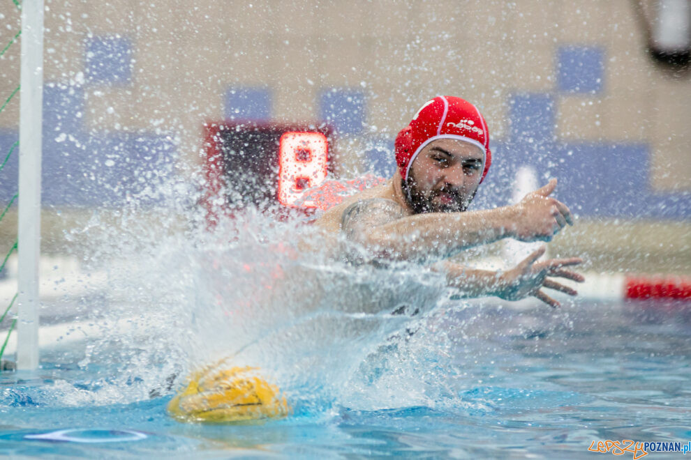 Box Logistics Waterpolo Poznań -  ŁSTW OCMER Politechnika Łó  Foto: lepszyPOZNAN.pl/Piotr Rychter