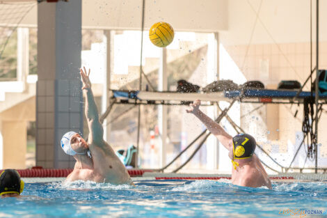 Box Logistics Waterpolo Poznań -  ŁSTW OCMER Politechnika Łó  Foto: lepszyPOZNAN.pl/Piotr Rychter