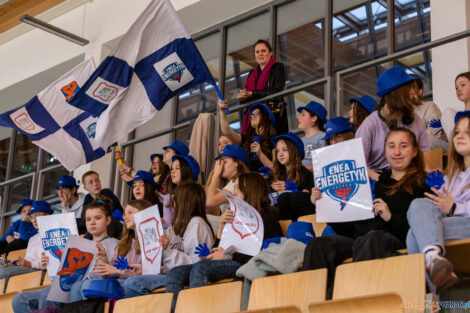 Enea Energetyk Poznań - Roleski Grupa Azoty PWSZ Tarnów  Foto: lepszyPOZNAN.pl/Piotr Rychter