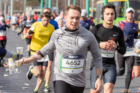 14. PKO Poznań Półmaraton  Foto: lepszyPOZNAN.pl/Piotr Rychter