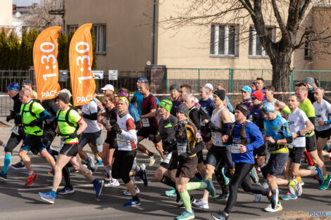 14. PKO Poznań Półmaraton  Foto: lepszyPOZNAN.pl/Piotr Rychter