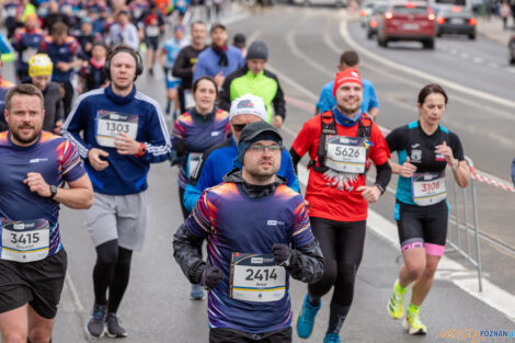 14. PKO Poznań Półmaraton  Foto: lepszyPOZNAN.pl/Piotr Rychter