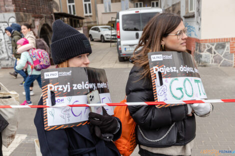 14. PKO Poznań Półmaraton  Foto: lepszyPOZNAN.PL/Piotr Rychter