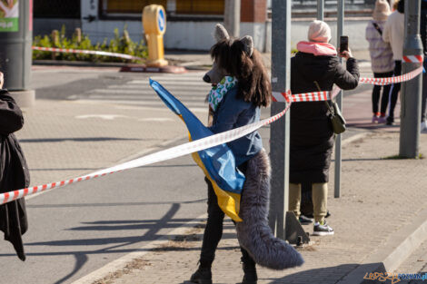 14. PKO Poznań Półmaraton  Foto: lepszyPOZNAN.pl/Piotr Rychter